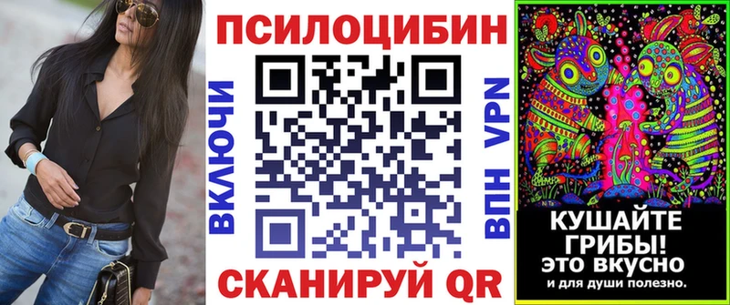 мориарти наркотические препараты Могоча Галлюциногенные грибы мицелий